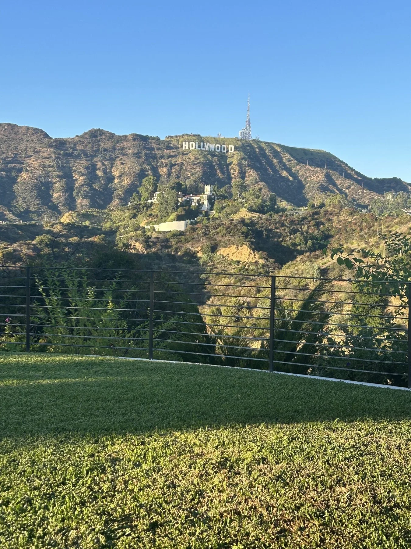 Lawn view with the Hollywood Sign from Lakeview