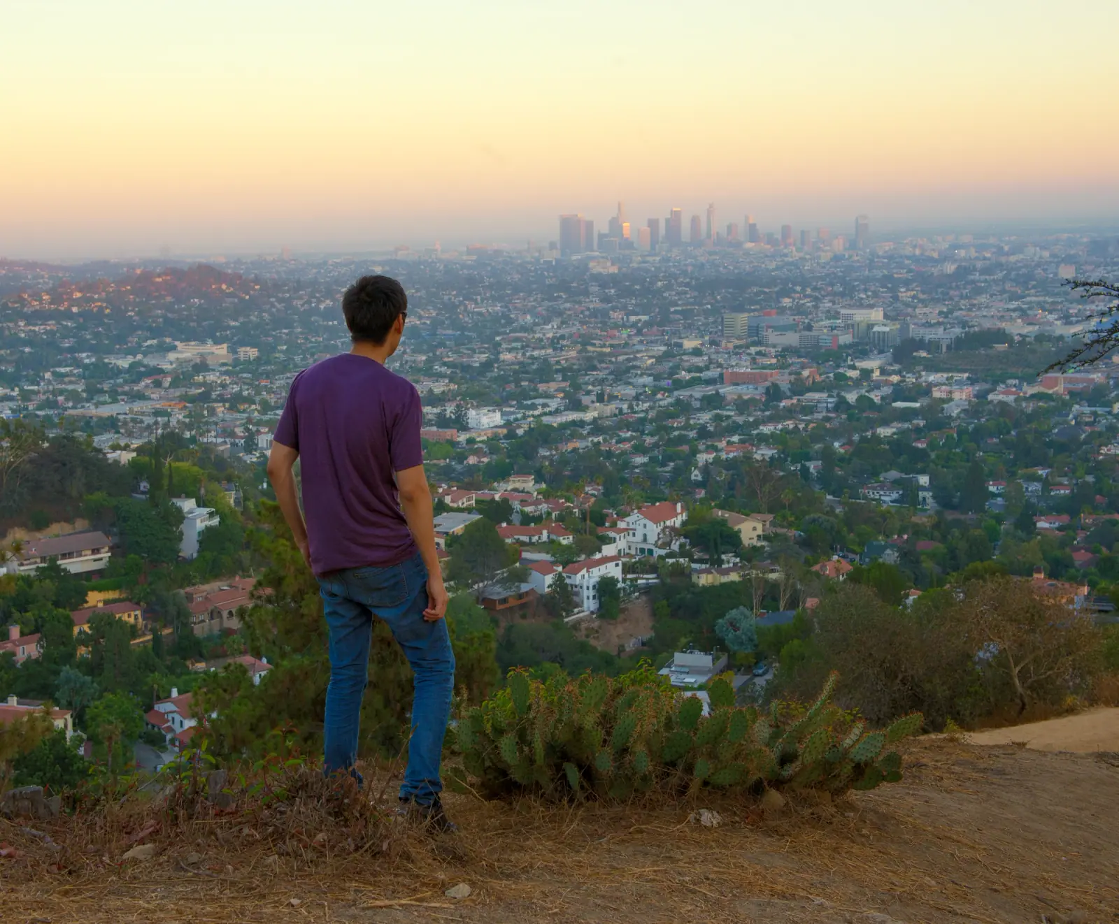 Man in a purple shirt looking out over Los Angeles