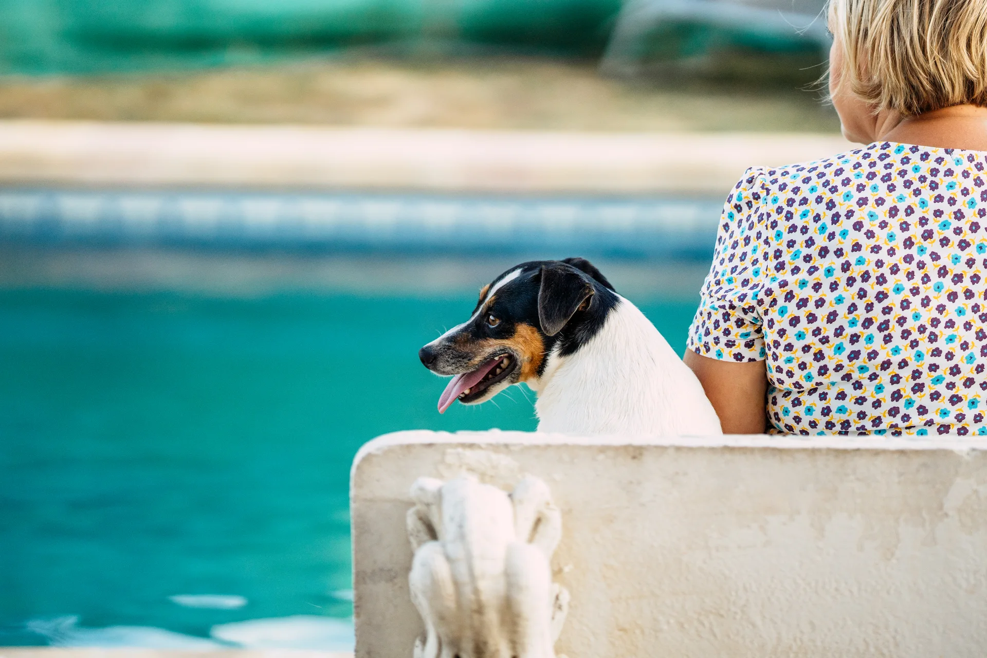 Enclosed outdoor space at Bliss Recovery's pet friendly Los Angeles residence